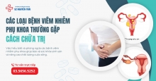 Các loại bệnh viêm nhiễm phụ khoa thường gặp