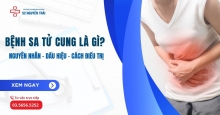 Bệnh sa tử cung là gì? Nguyên nhân, dấu hiệu và cách điều trị