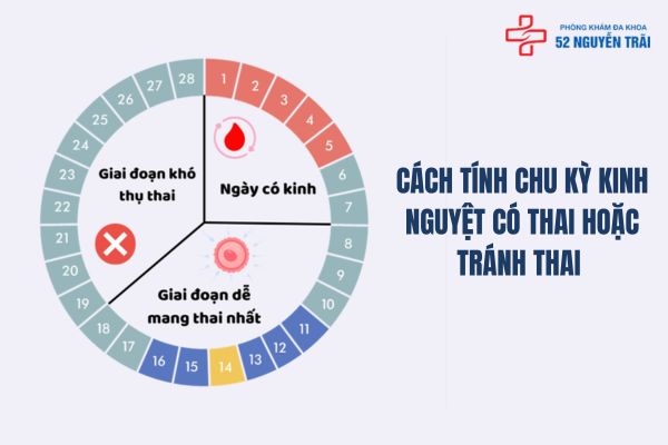 Cách tính chu kỳ kinh nguyệt để tránh thai hoặc có thai 