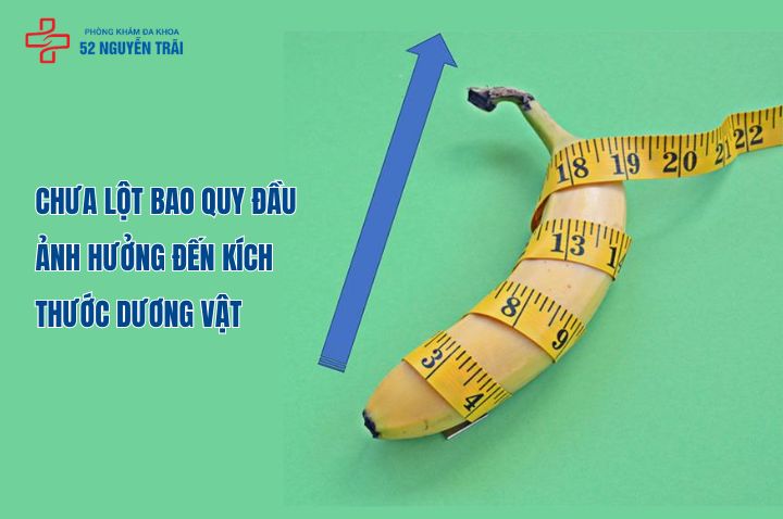 Chưa lột bao quy đầu ảnh hưởng đến kích thước của dương vật 