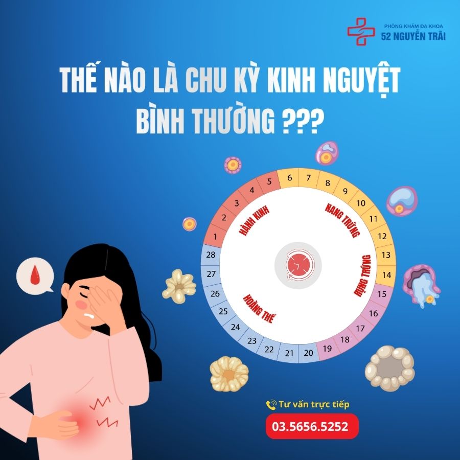 Thế nào là chu kỳ kinh nguyệt đều